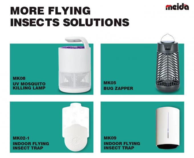 Matériau ABS respectueux de l'environnement et durable Insecticide adhésif papier adhésif Lampes à moustiques avec LED UV395x8pcs 10