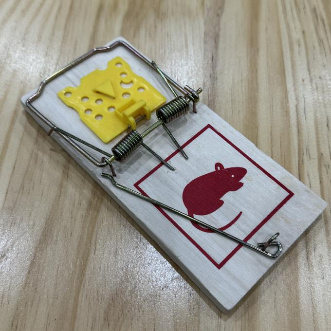 Souris domestiques en bois, souris de rat, souris piège, tueur de capteur, dispositif et parasite 2