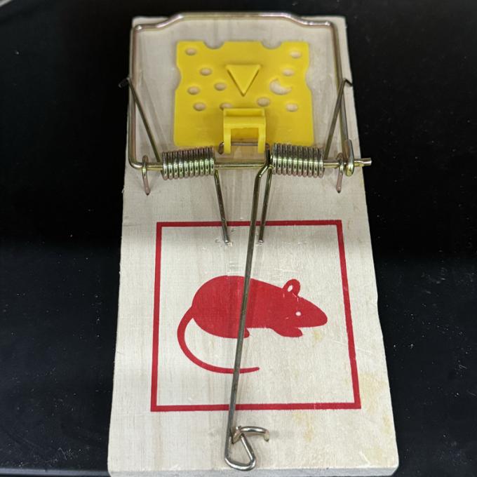 Souris domestiques en bois, souris de rat, souris piège, tueur de capteur, dispositif et parasite 1