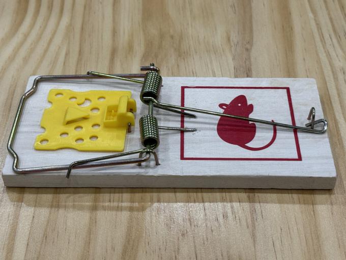 Souris domestiques en bois, souris de rat, souris piège, tueur de capteur, dispositif et parasite 3