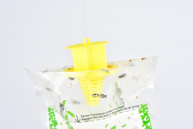 Mini fruit piège à mouches sac de bouteille Votre clé pour le contrôle des mouches et le contrôle des insectes 1