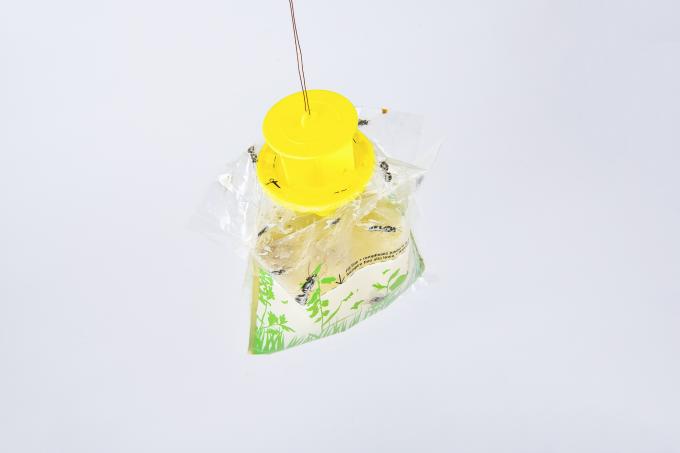 Mini fruit piège à mouches sac de bouteille Votre clé pour le contrôle des mouches et le contrôle des insectes 4