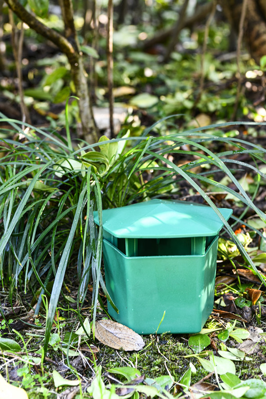 La solution ultime contre les ravageurs dans votre jardin 3