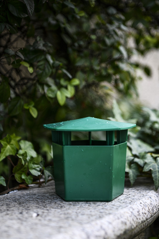 La solution ultime contre les ravageurs dans votre jardin 4