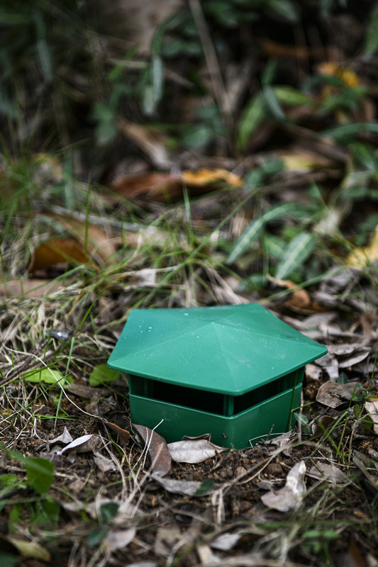 La solution ultime contre les ravageurs dans votre jardin 6