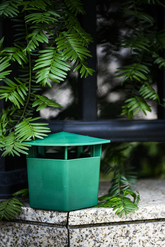 La solution ultime contre les ravageurs dans votre jardin 5