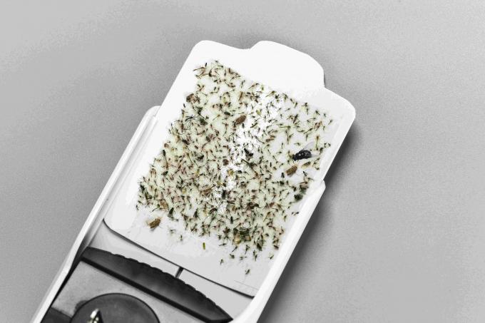 Matériau ABS respectueux de l'environnement et durable Insecticide adhésif papier adhésif Lampes à moustiques avec LED UV395x8pcs 7