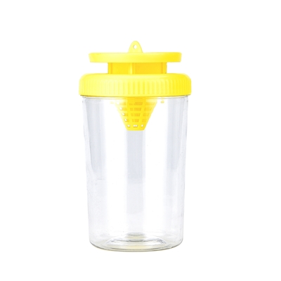 Un bon prix. Piège à mouches à fruits suspendus pour jardin Bouteille unique PP PS Zone applicable dans le jardin en ligne