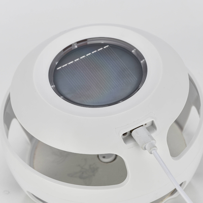 Un bon prix. Piège anti-puces solaire très efficace avec plaquette adhésive en ligne