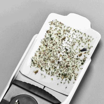 Un bon prix. Couverture de 20 à 30 m2 Lampes anti-moustiques rechargeables avec colle adhésive en ligne