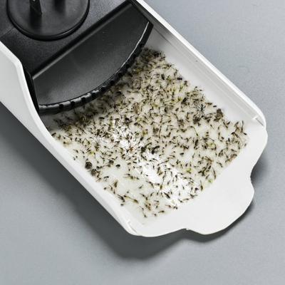 Un bon prix. Efficace lutte contre les ravageurs moustiques lampe à moustiques avec coussin adhésif et source d'alimentation électrique Combo en ligne